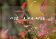 CF手雷图片大全，领略火线手雷魅力