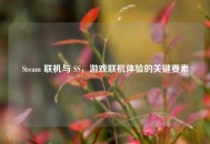 Steam 联机与 SS，游戏联机体验的关键要素