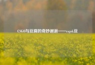 CSGO与豆腐的奇妙邂逅——csgok豆