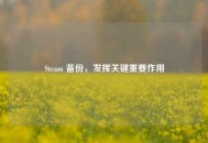 Steam 备份，发挥关键重要作用