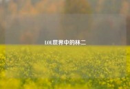 LOL世界中的林二