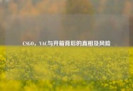 CSGO，VAC与开箱背后的真相及风险