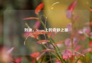 刘迪，Steam上的奇妙之旅
