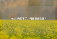 Steam 购买不了，问题根源在哪？
