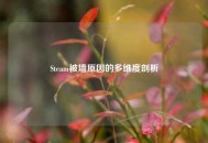 Steam被墙原因的多维度剖析