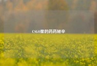 CSGO里的药药秘辛