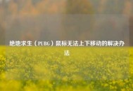 绝地求生（PUBG）鼠标无法上下移动的解决办法