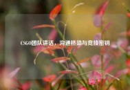 CSGO团队讲话，沟通桥梁与竞技密钥