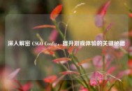 深入解密 CSGO Config，提升游戏体验的关键秘籍