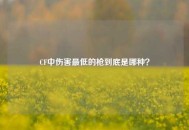 CF中伤害最低的枪到底是哪种？