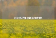 PUBG扔子弹设置详细攻略！