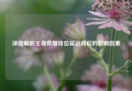 深度解析王者荣耀排位延迟背后的影响因素