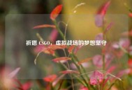 祈愿 CSGO,虚拟战场的梦想坚守 祈愿 CSGO,虚拟战场的梦想坚守