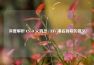 深度解析 CSGO 火男及 HLTV 排名背后的意义