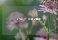 CF 与 CF₄区别全解析