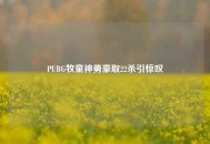 PUBG牧童神勇豪取22杀引惊叹