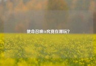使命召唤16究竟在哪玩？