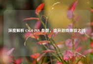 深度解析 CSGO POV 参数，提升游戏体验之钥