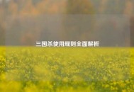 三国杀使用规则全面解析