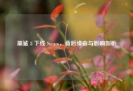 黑鲨 3 下线 Steam，背后缘由与影响剖析
