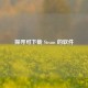 探寻可下载 Steam 的软件