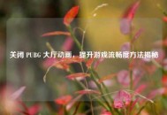 关闭 PUBG 大厅动画，提升游戏流畅度方法揭秘