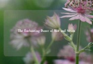 The Enchanting Dance of Mist and Steam