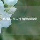 胧村正，Steam 平台的刀剑传奇