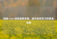 探秘 CSGO 训练视频全集，提升游戏实力的黄金宝藏