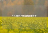 PUBG游泳下潜方法深度剖析