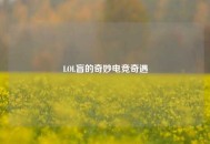 LOL盲的奇妙电竞奇遇 LOL盲的奇妙电竞奇遇