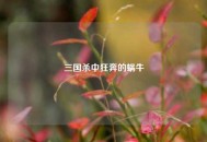 三国杀中狂奔的蜗牛