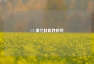 CF 里的林肯许传奇