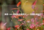 洞悉 CSGO 高端局战局风云，一览排名情况