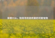 探索PUBG，如何寻找游戏里的可爱宠物
