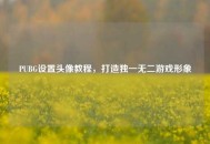 PUBG设置头像教程，打造独一无二游戏形象