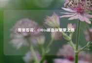 雾里看花，COD16画面灰蒙蒙之惑