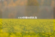 CSGO中爱BB的队友