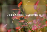 从剪辑小白到高手，CSGO剪辑逆袭之旅