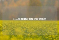Steam账号申诉流程全攻略揭秘