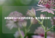 深度解析玩PUBG的网络需求，是否需要宽带？