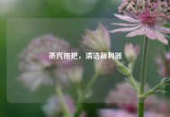 蒸汽拖把，清洁新利器