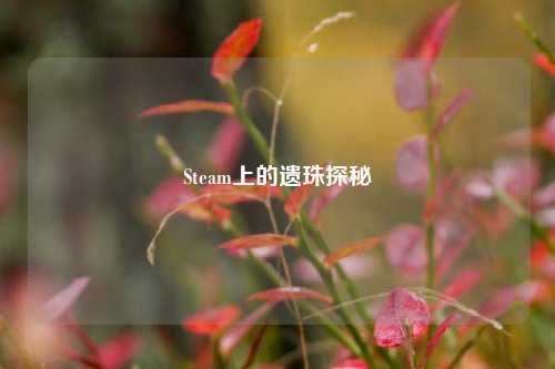 Steam上的遗珠探秘