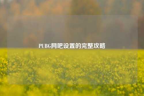 PUBG网吧设置的完整攻略