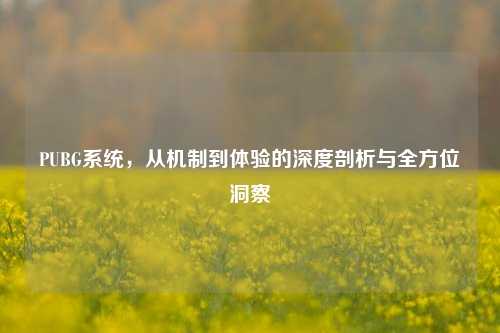 PUBG系统,从机制到体验的深度剖析与全方位洞察