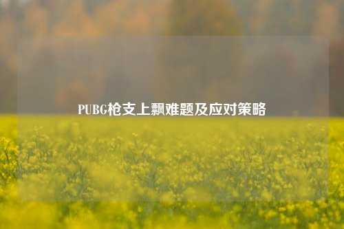 PUBG枪支上飘难题及应对策略
