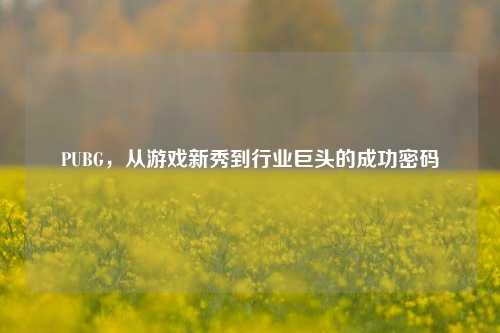 PUBG，从游戏新秀到行业巨头的成功密码