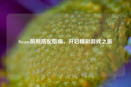 Steam前期搭配指南,开启精彩游戏之旅