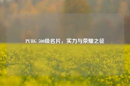 PUBG 500级名片,实力与荣耀之征