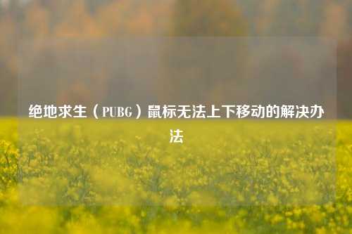 绝地求生（PUBG）鼠标无法上下移动的解决办法